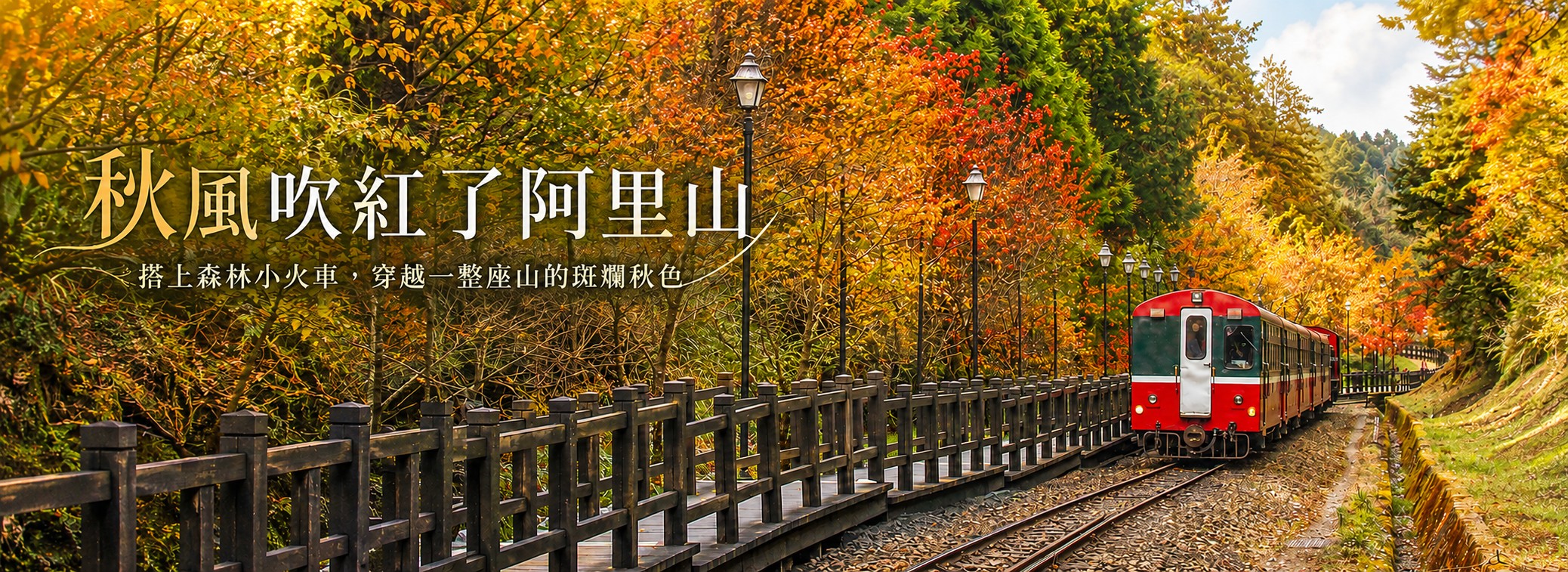 阿里山 阿里山