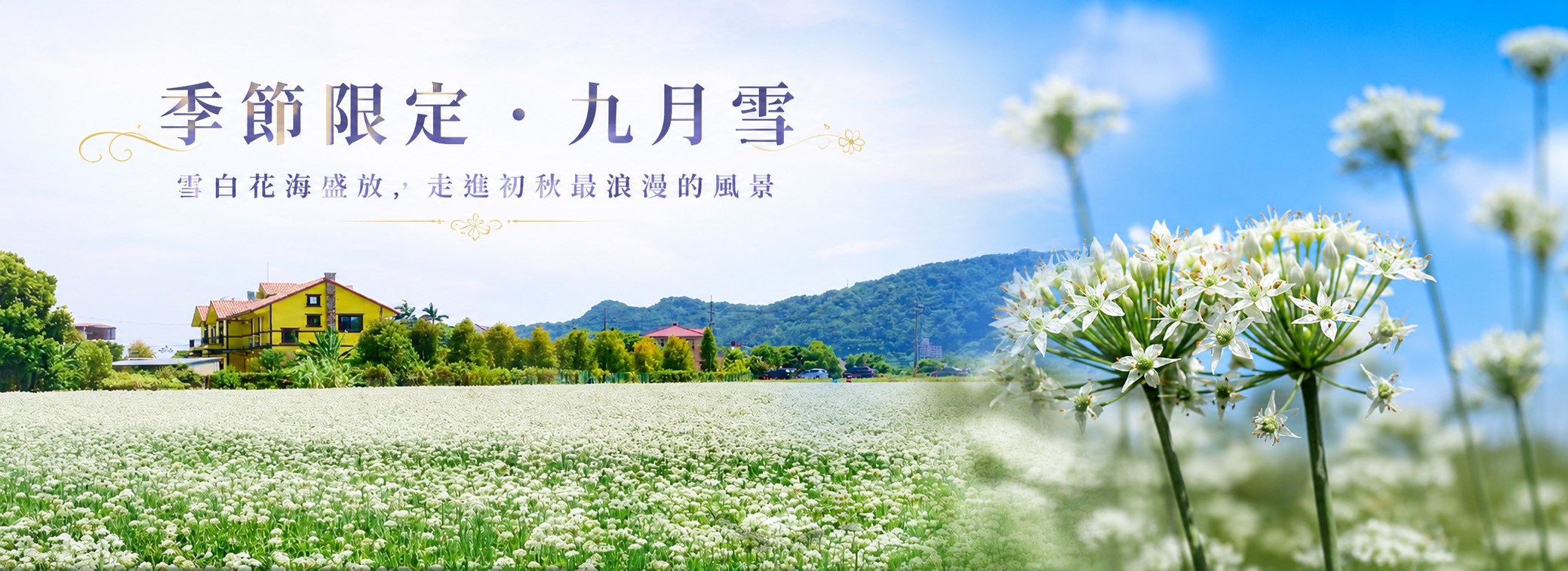 九月雪