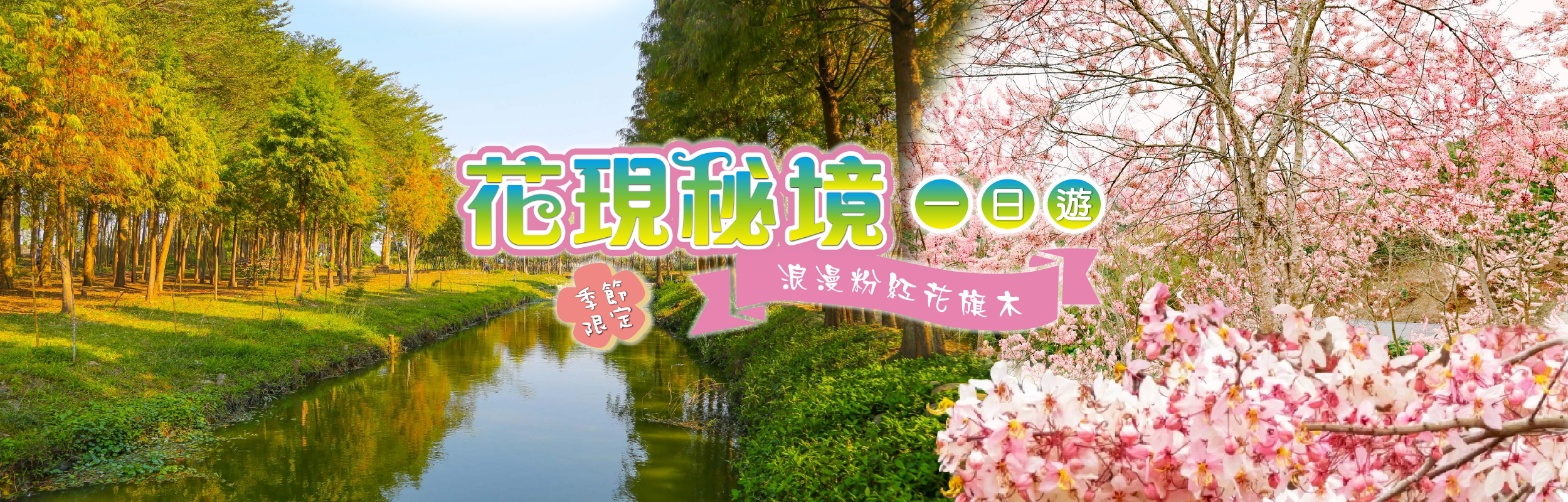 花現秘境~浪漫粉紅花旗木一日遊