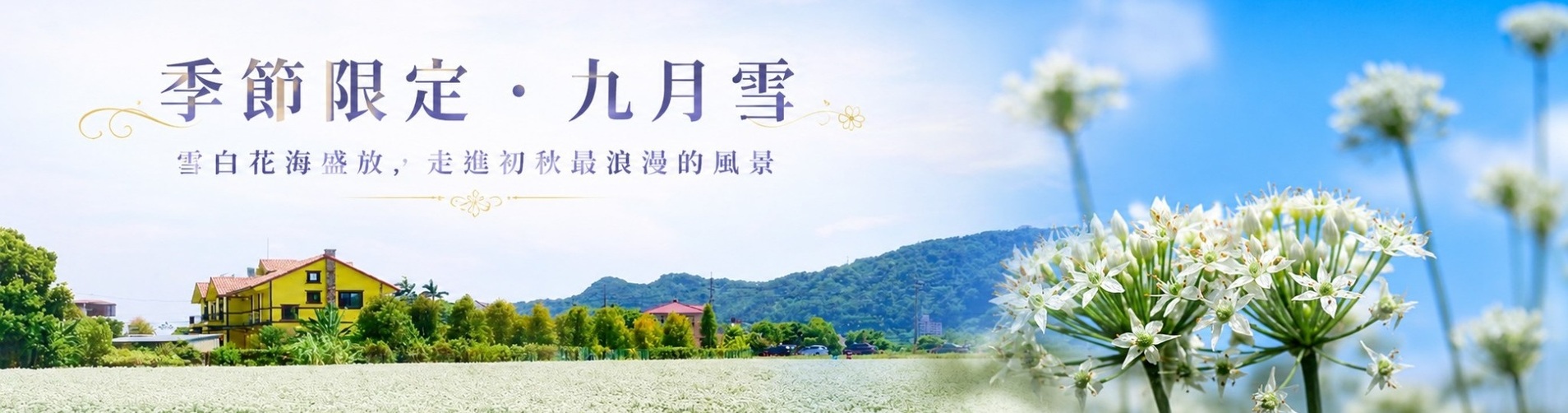 九月雪 九月雪