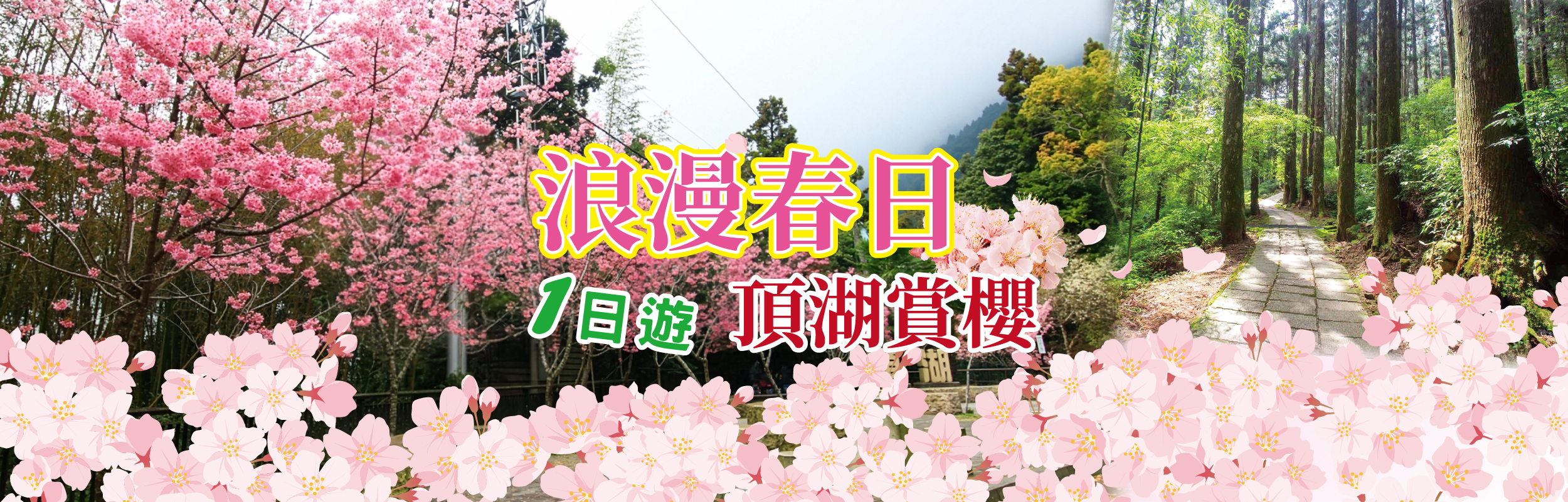 浪漫春日頂湖賞櫻一日遊