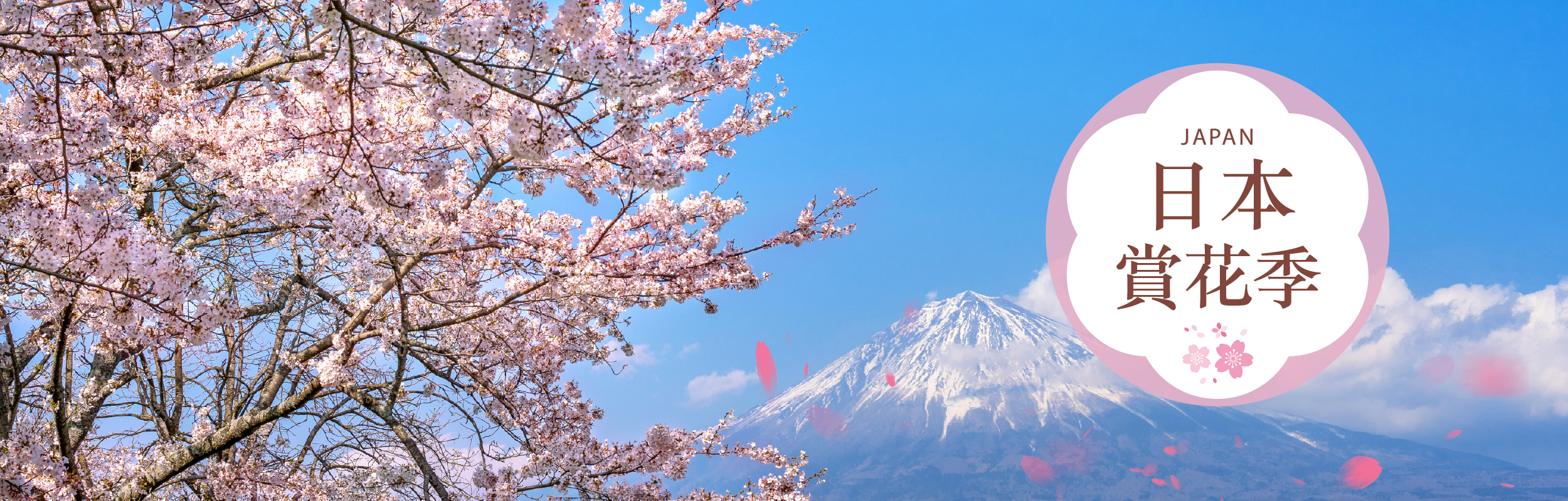 日櫻