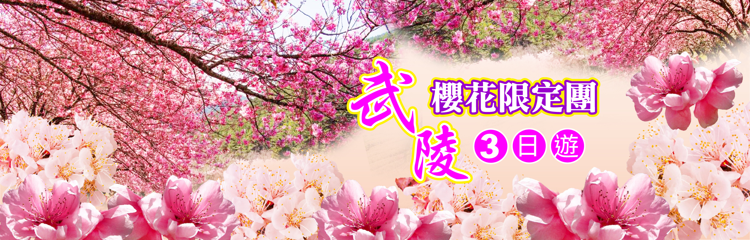 武陵櫻花限定團三日遊