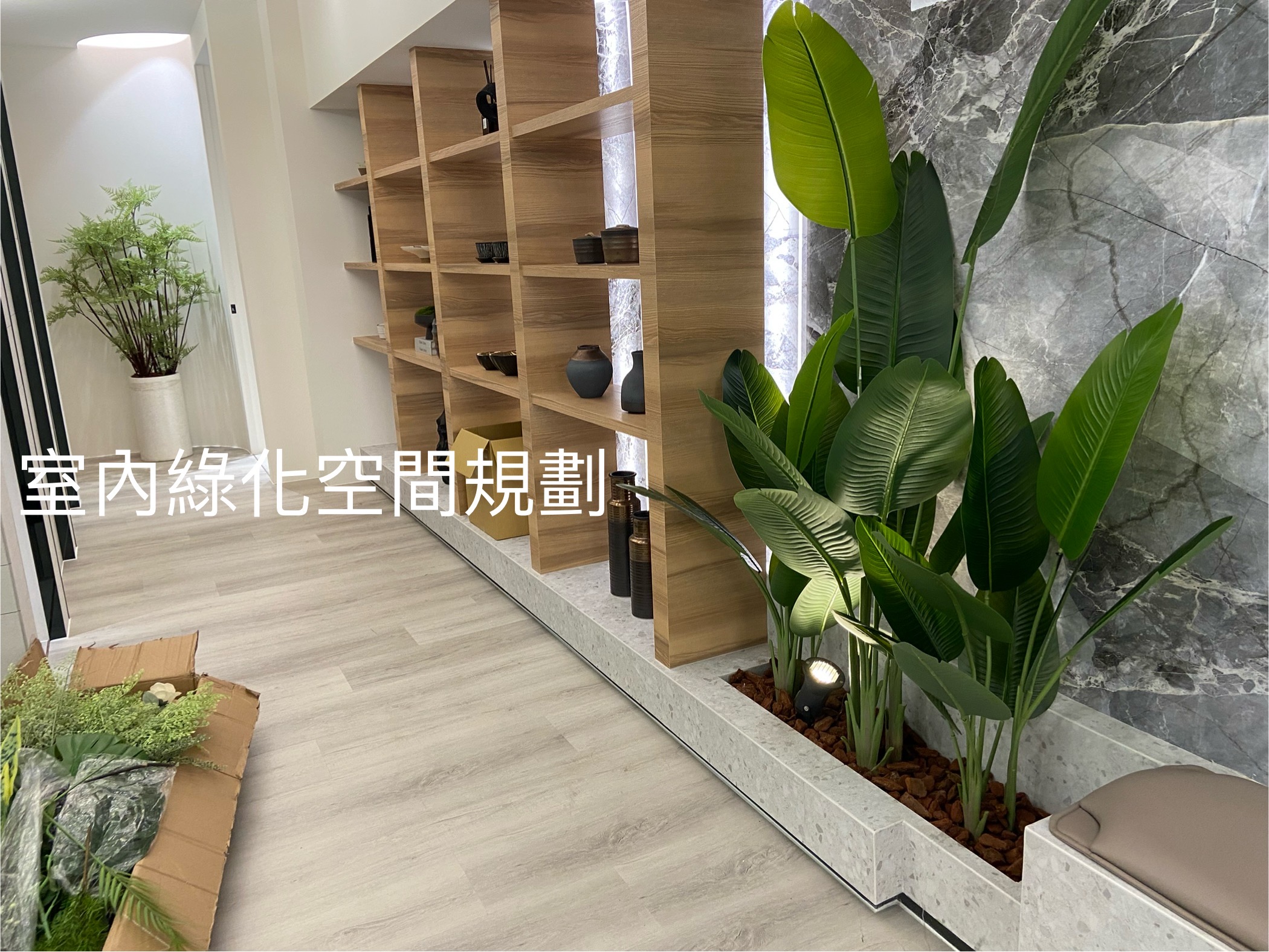 室內綠化空間規劃