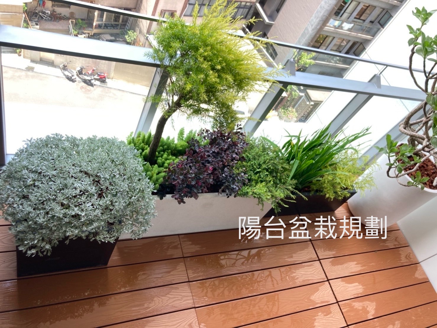 陽台盆栽規劃