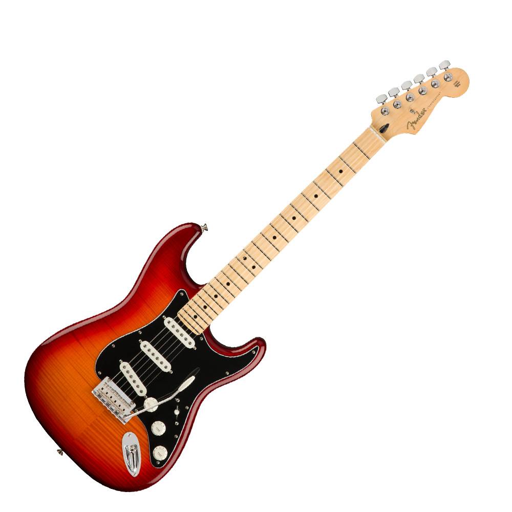 Fender Player Stratocaster Plus Top Maple 電吉他