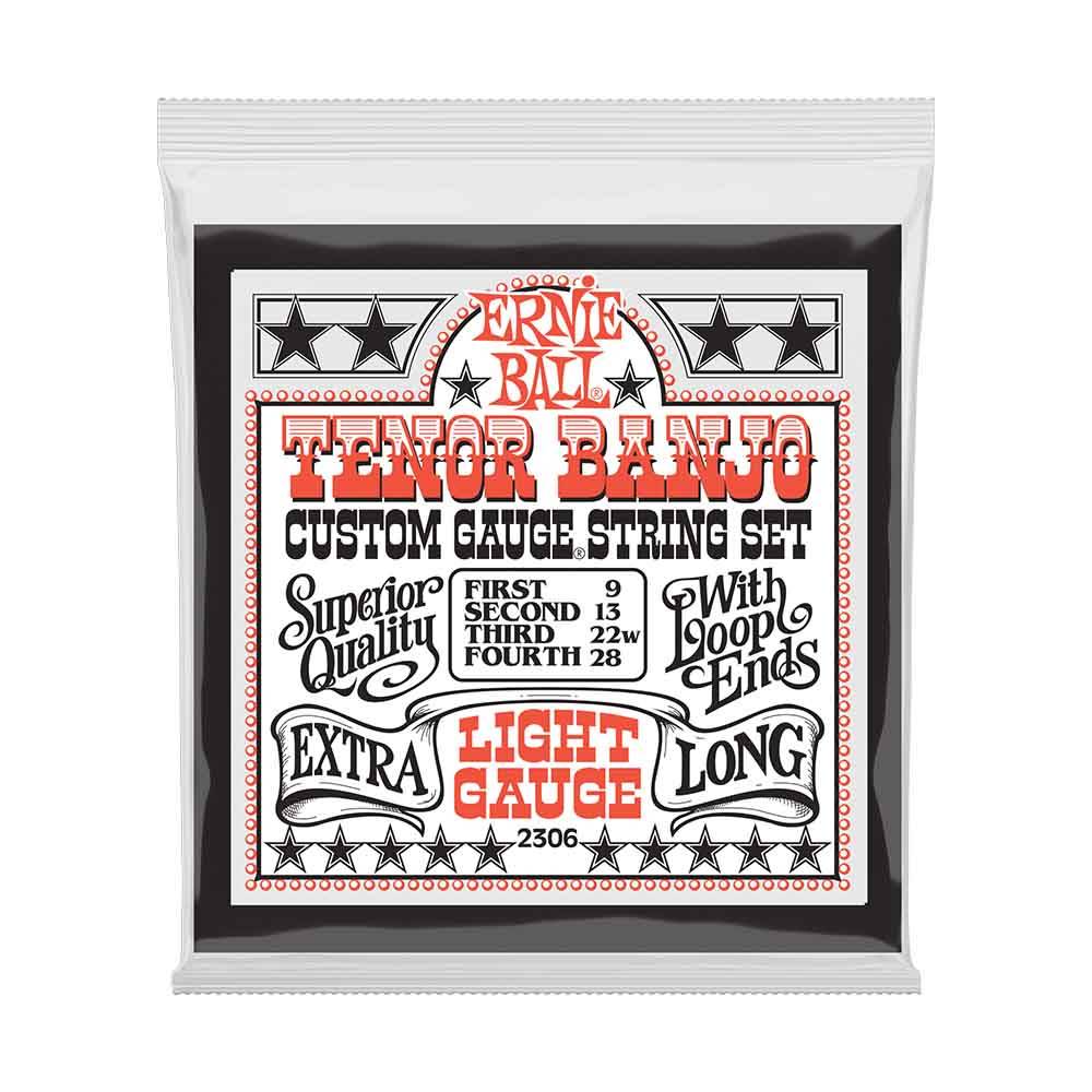 Ernie Ball Light Loop End Stainless Steel Tenor Banjo 2306 經典不鏽鋼 09-28