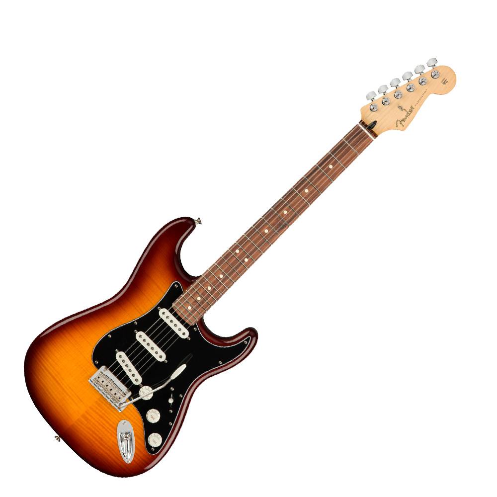 Fender Player Stratocaster Plus Top Pau Ferro 電吉他
