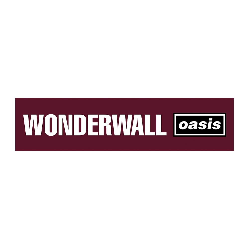 Pluginz Oasis Wonderwall Magnetic Grill 磁吸護板