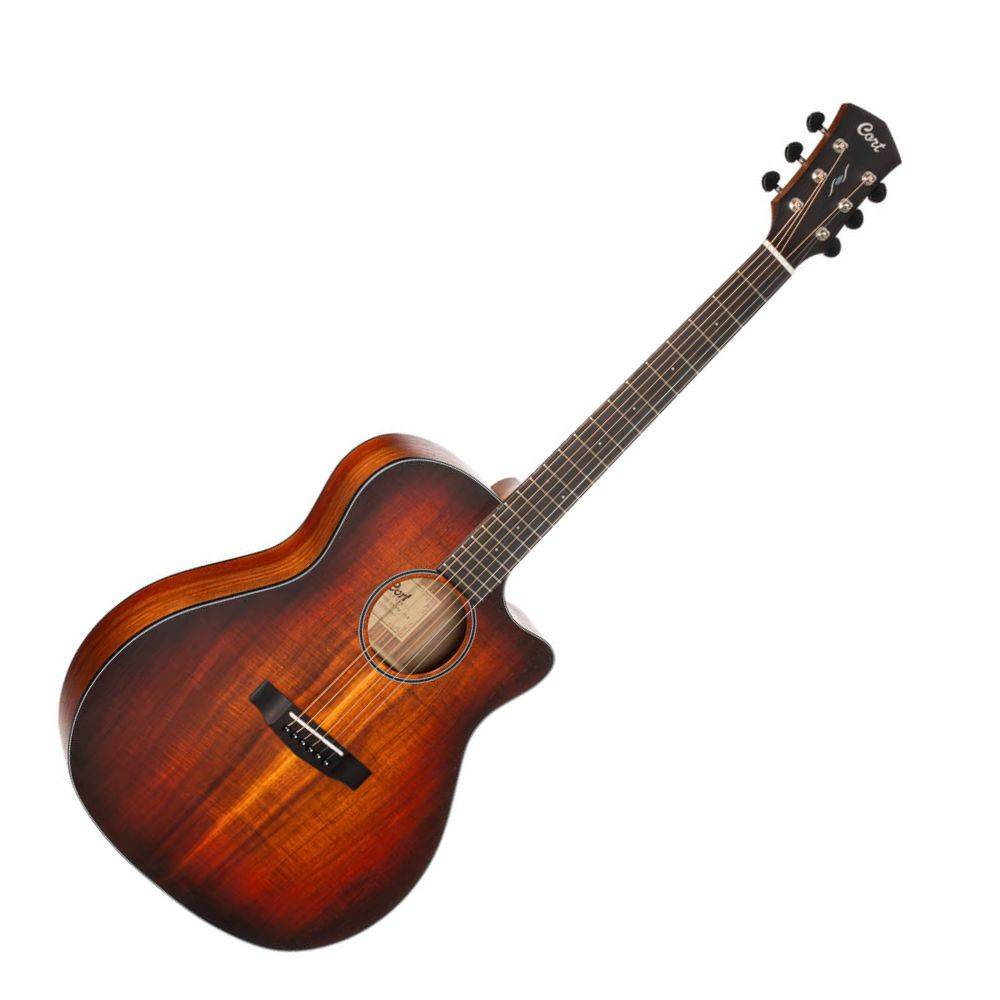 Cort Core GA Blackwood 電木吉他 Cort Core GA Blackwood 電木吉他