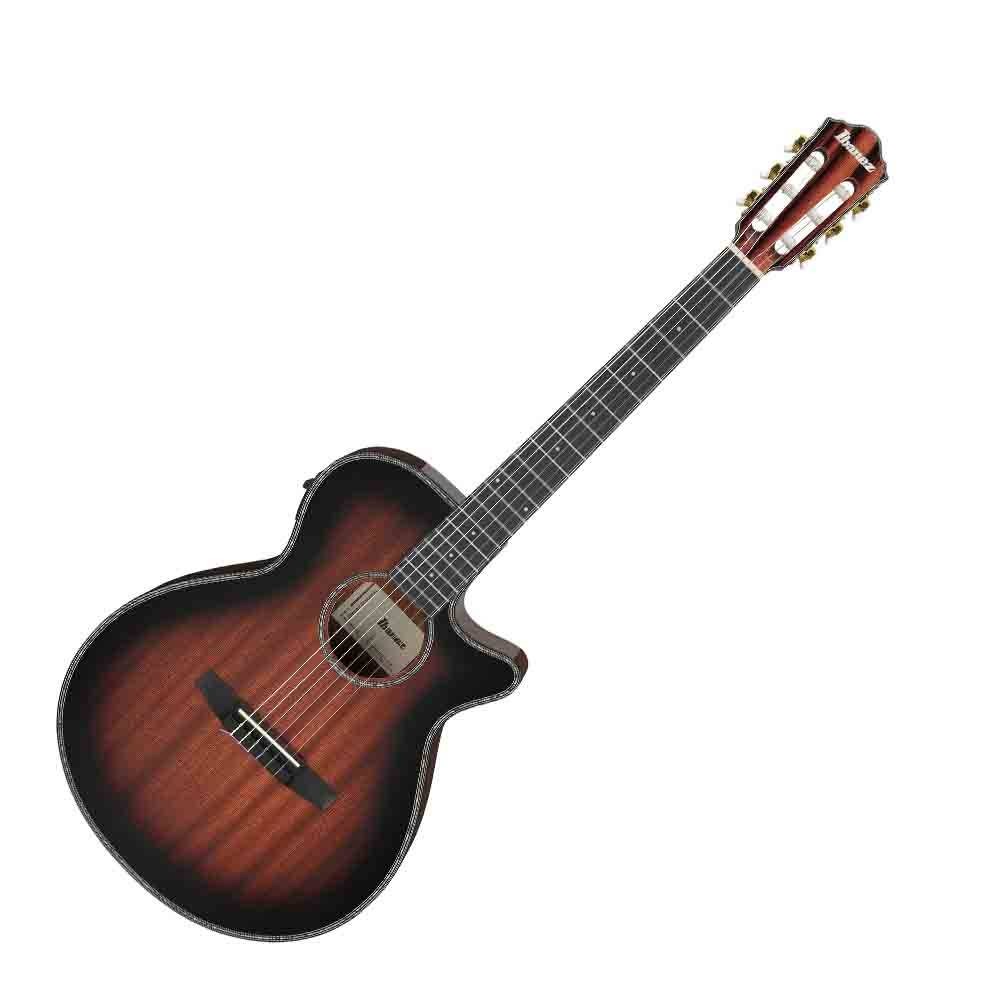 Ibanez AEG74N 電木吉他 Ibanez AEG74N 電木吉他