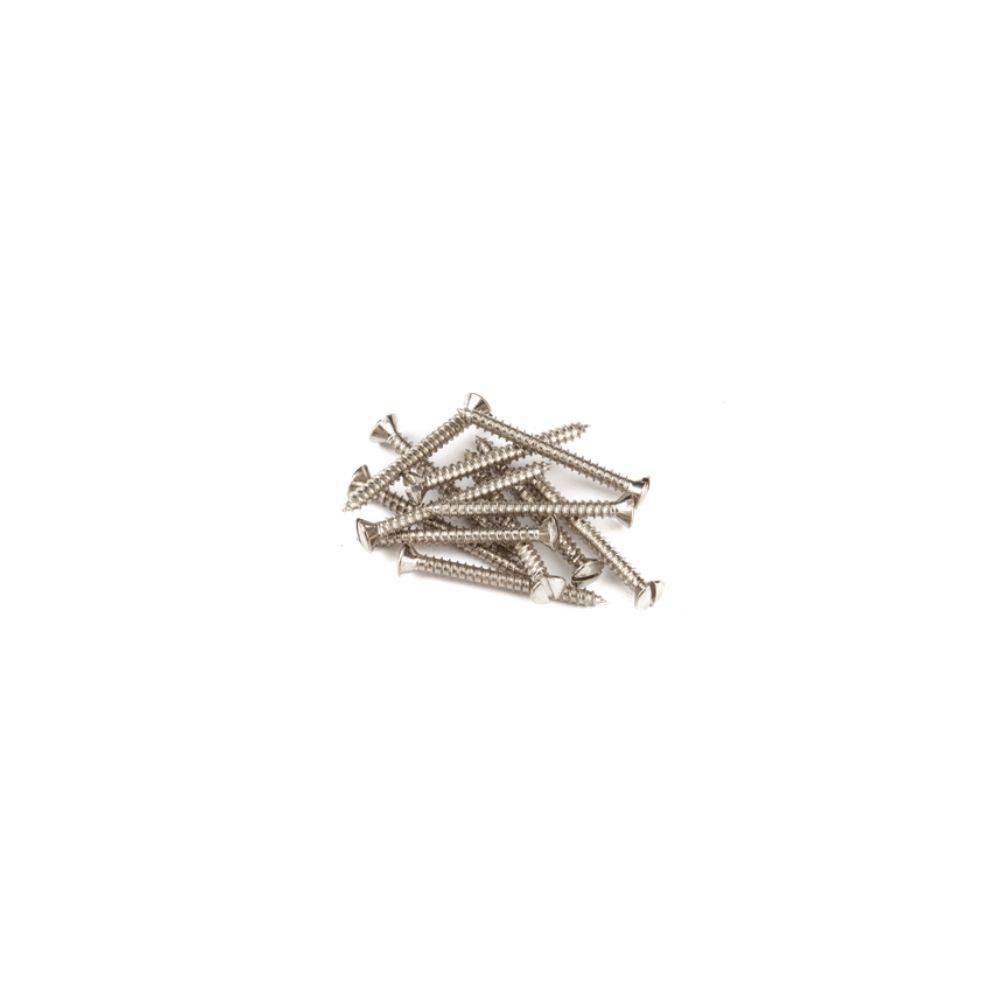 Fender Pure Vintage Slotted Telecaster Neck Mounting Screws 螺絲