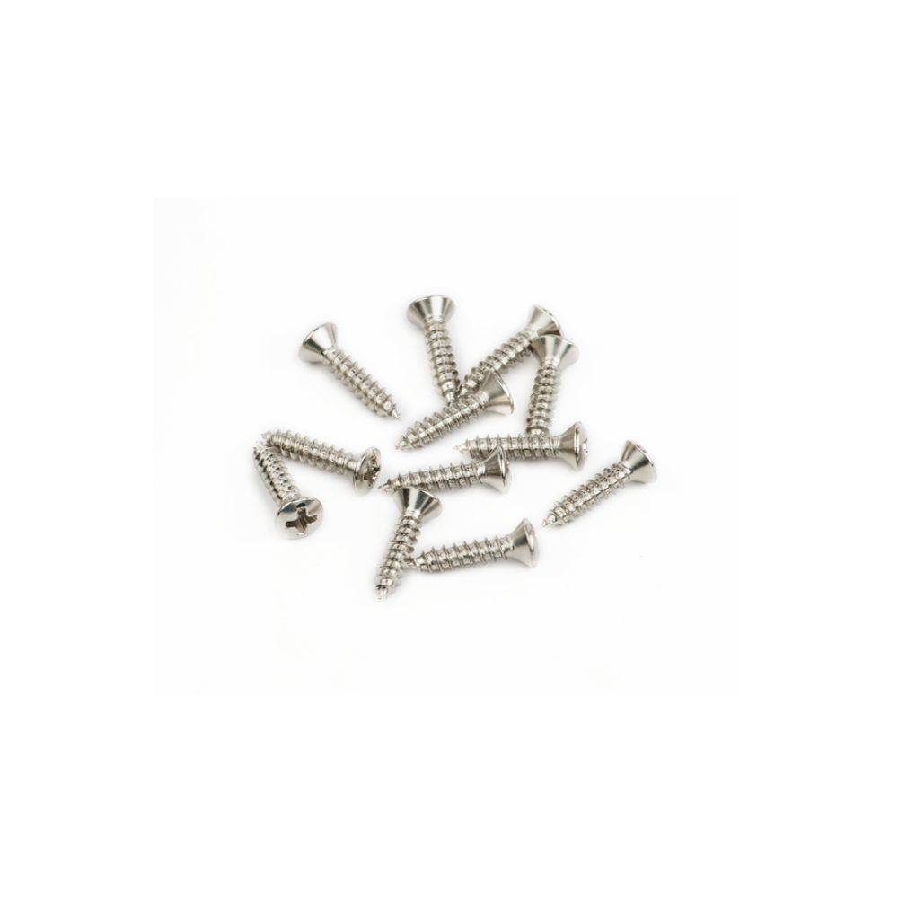 Fender Pickguard-Vintage Bridge Cover Mounting Screws 螺絲
