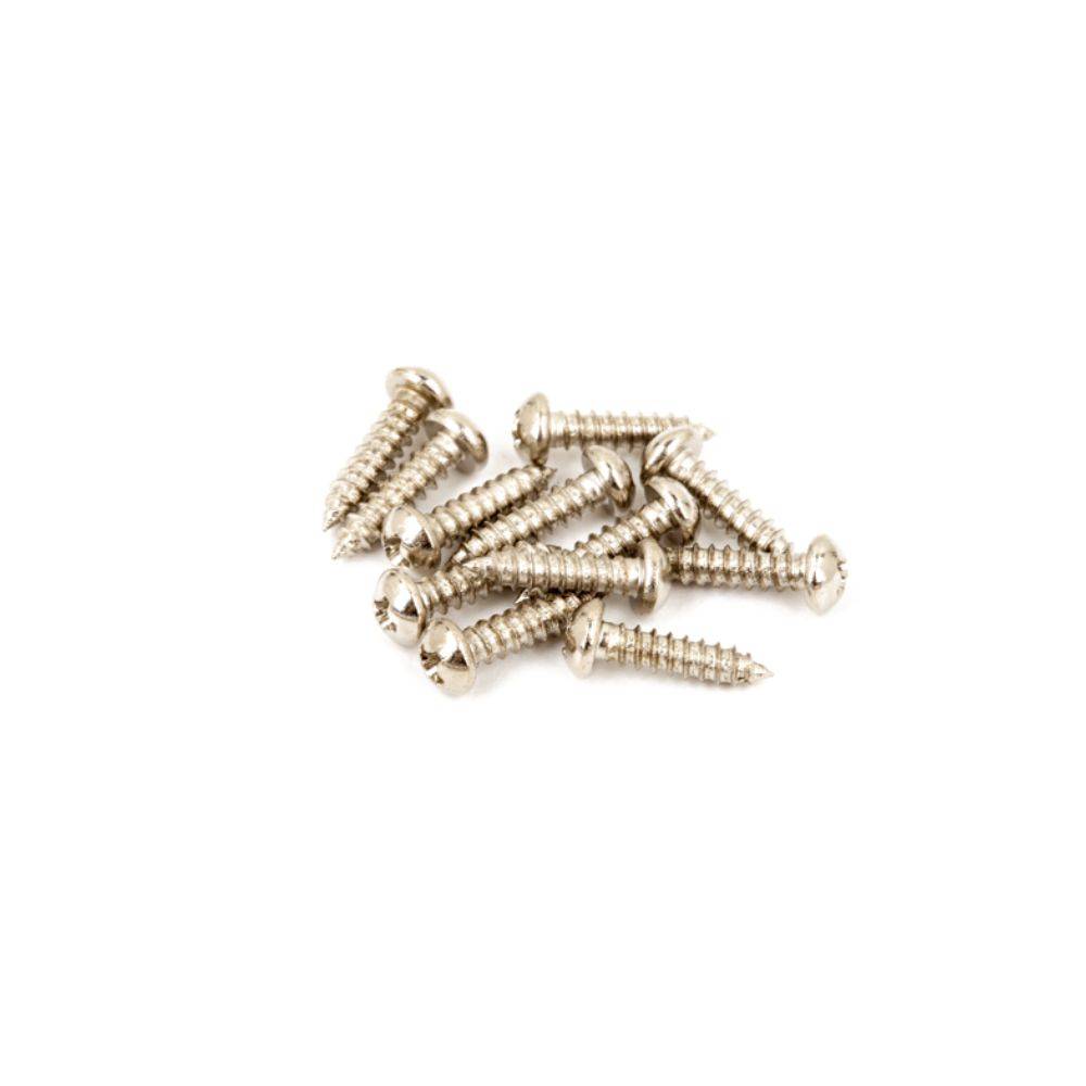 Fender Pure Vintage Tuning Machine Mounting Screws 螺絲 (共二色)