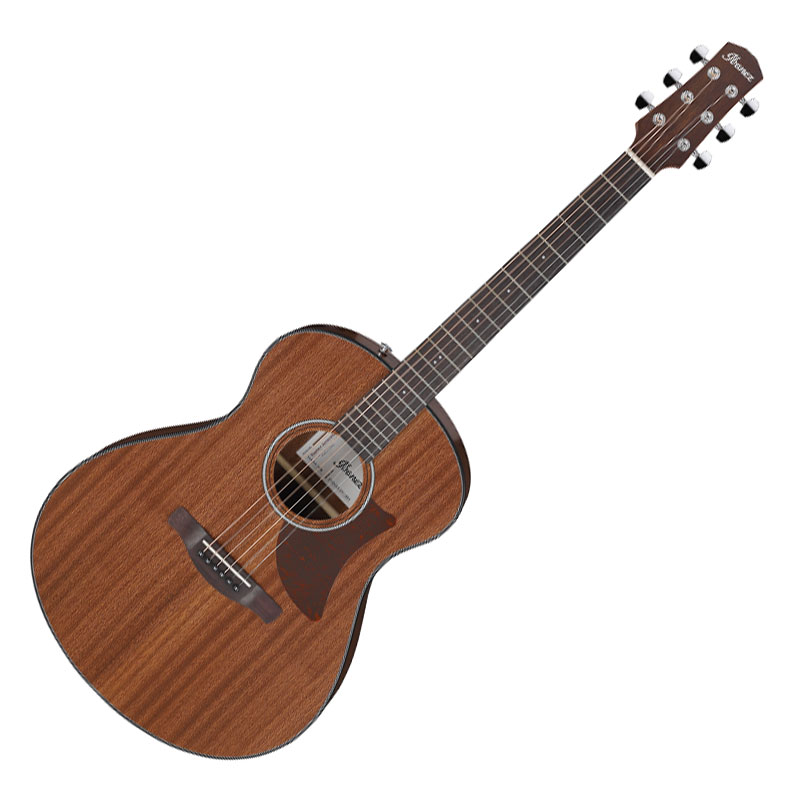 Ibanez AAM54 民謠吉他