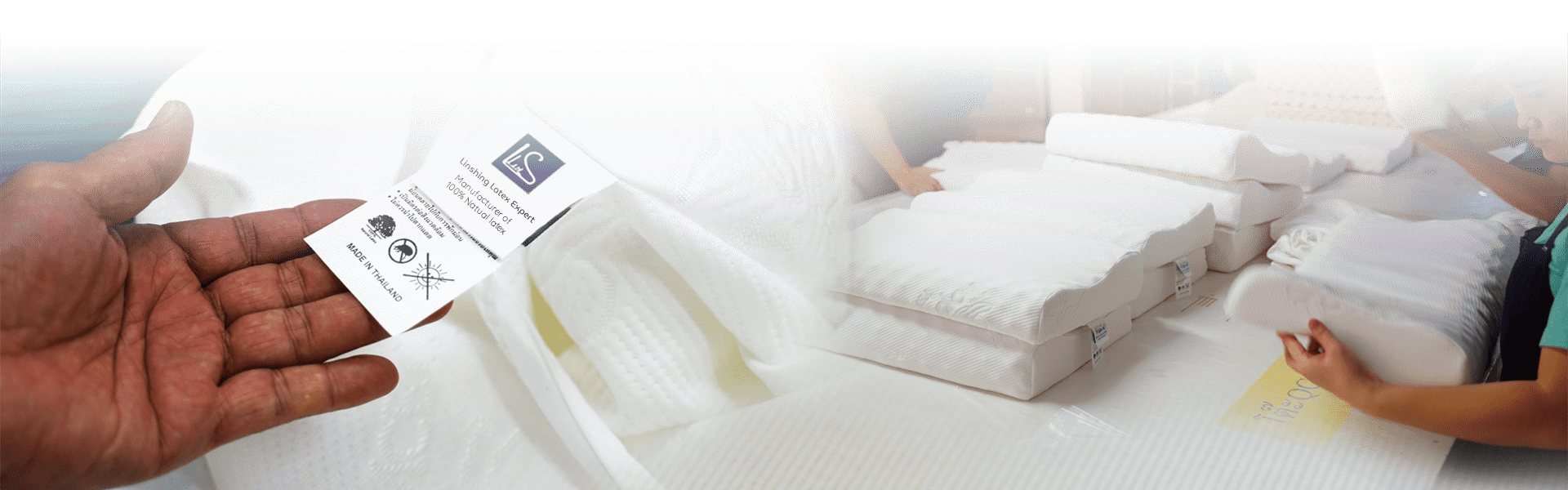 Our Product Story - From Forest to Bedroom Our Product Story - From Forest to Bedroom