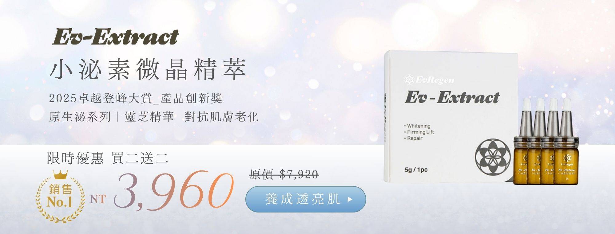 新年活動 新年活動