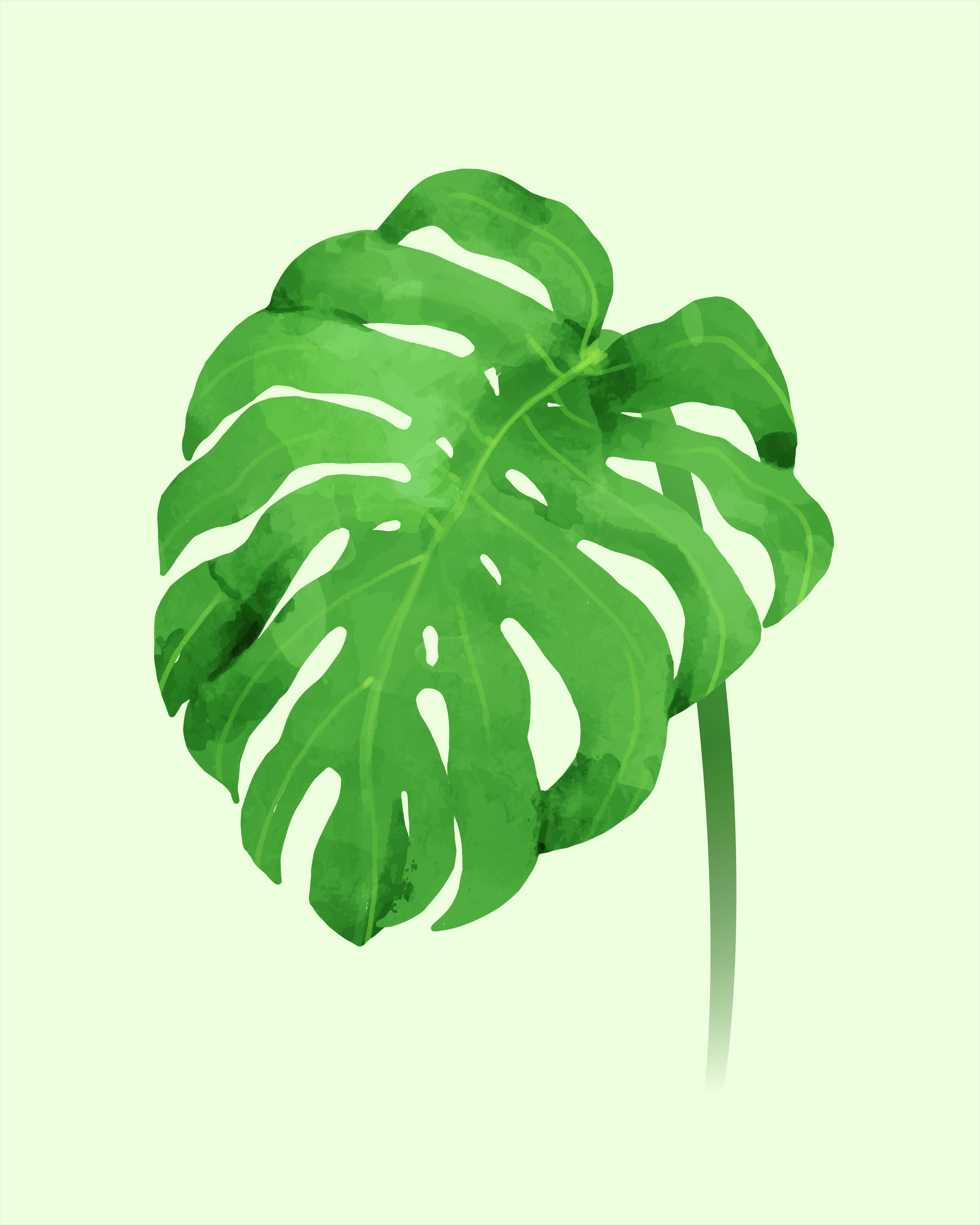 Leaf 01