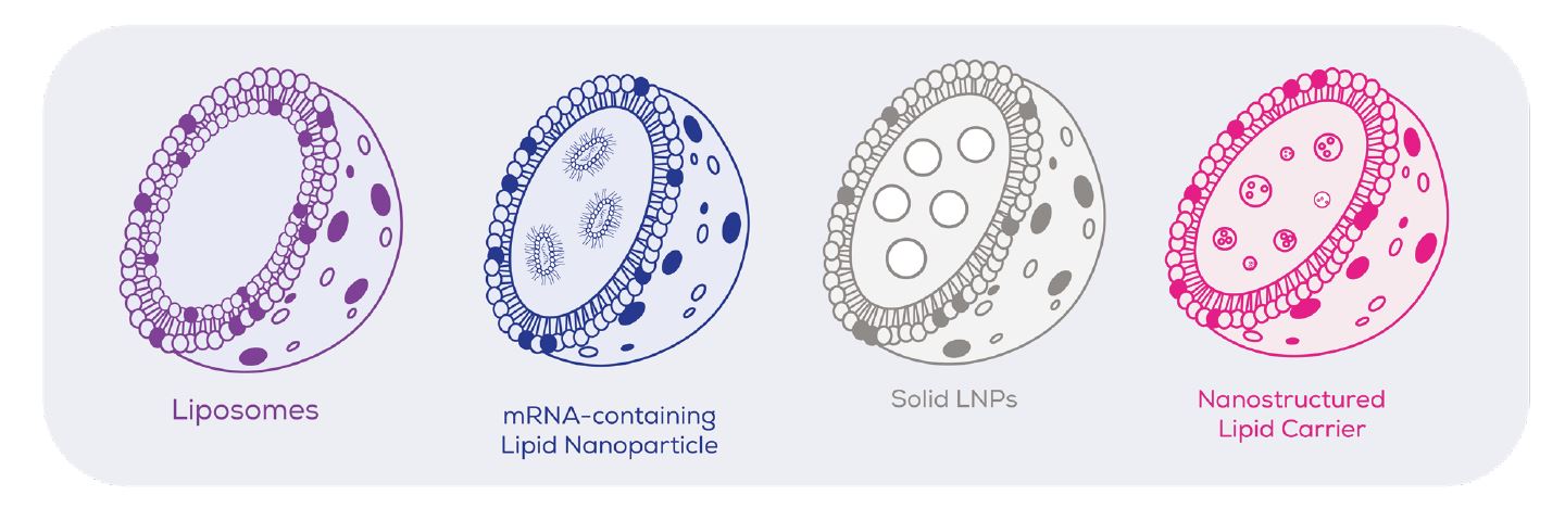 LNP Lipid Nanoparticles 脂質奈米顆粒