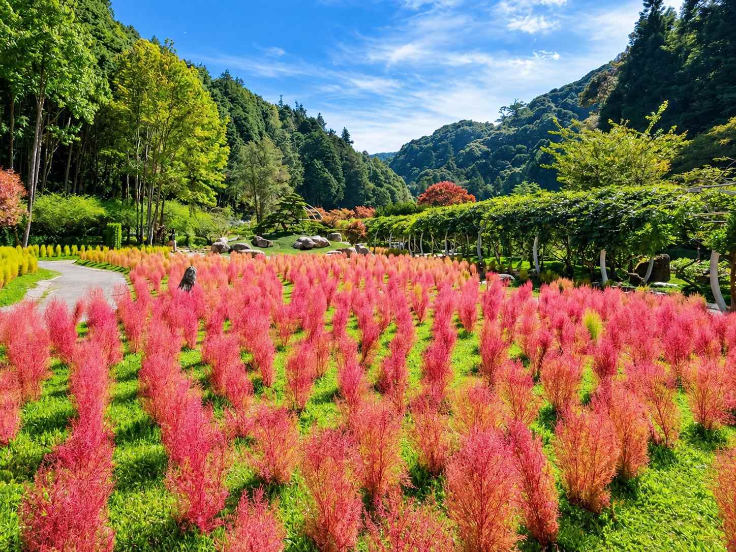 杉林溪秋季波波草海