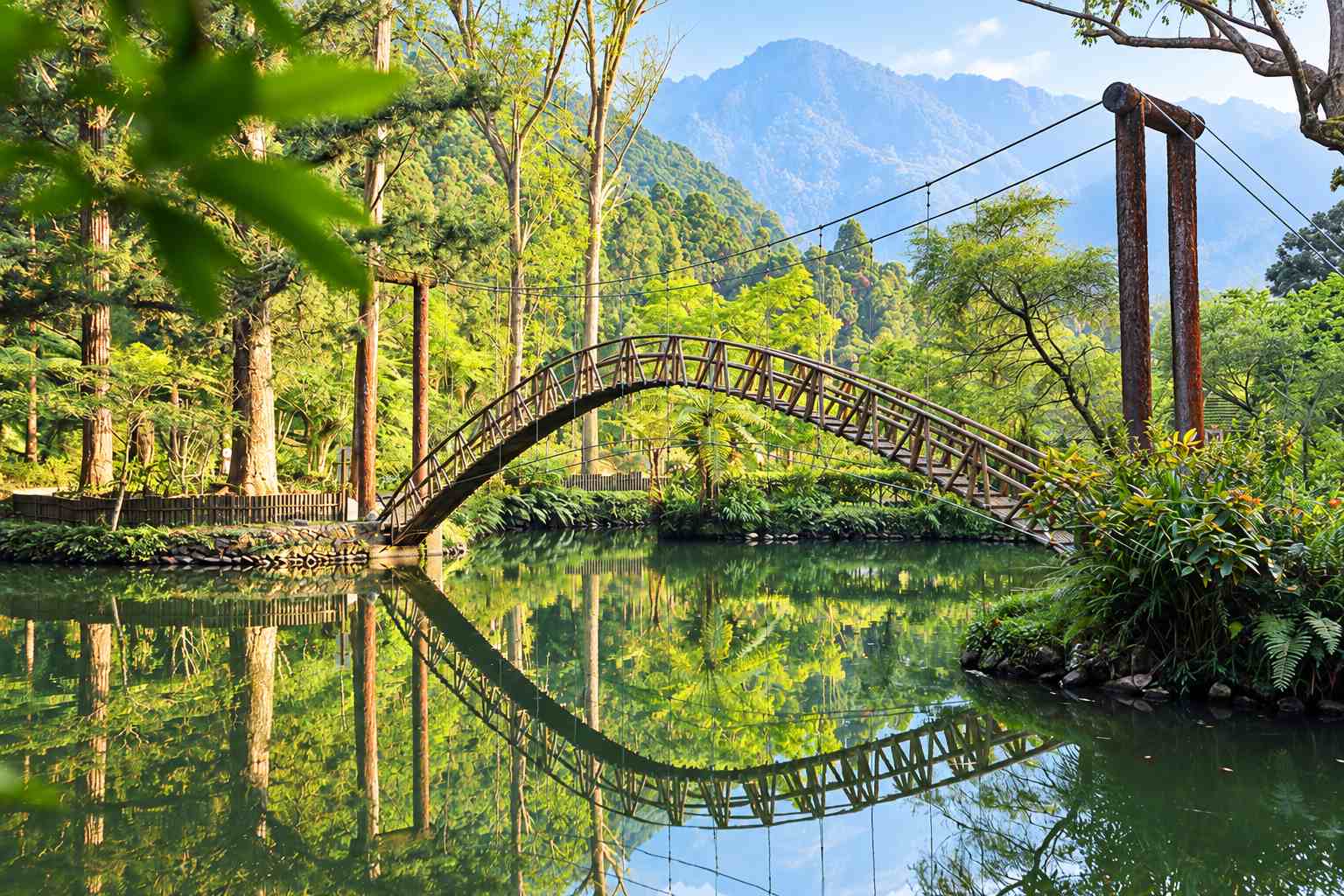 溪頭大學池竹拱橋