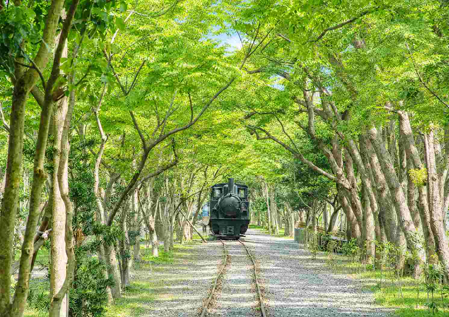 羅東林業文化園區