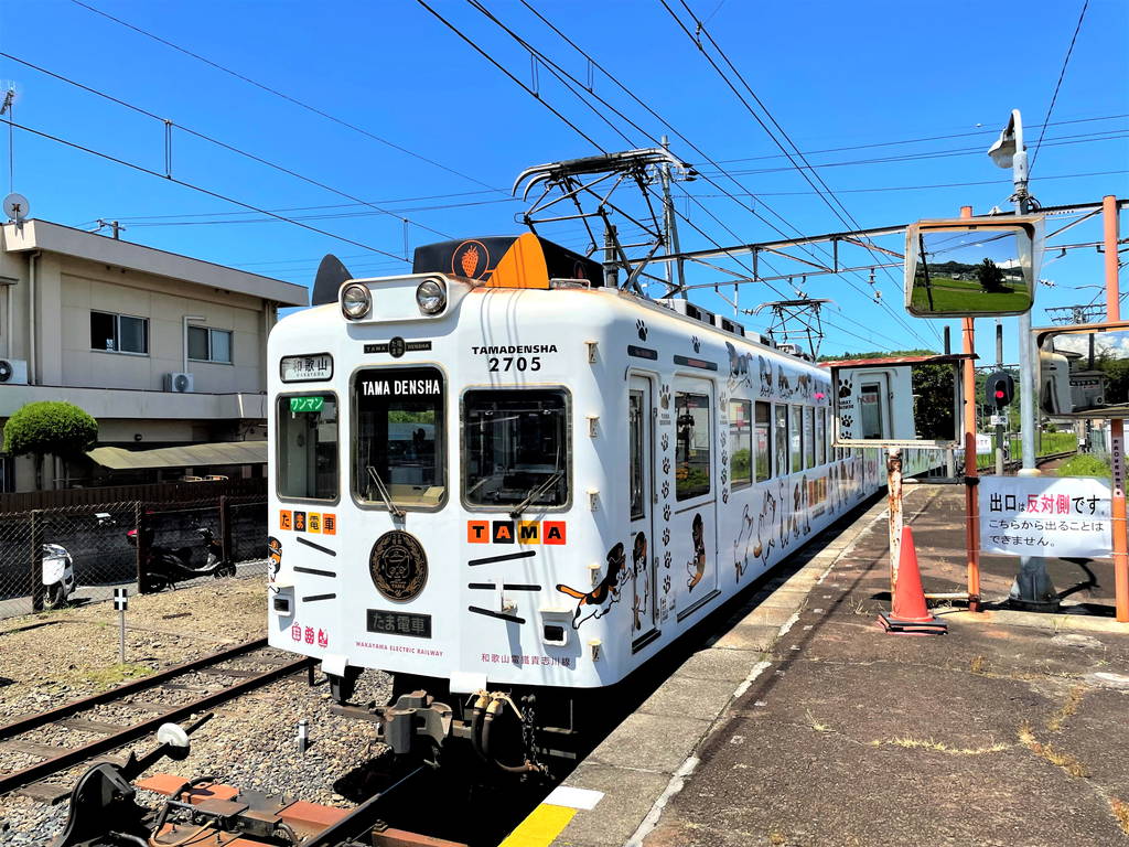 貓咪電車