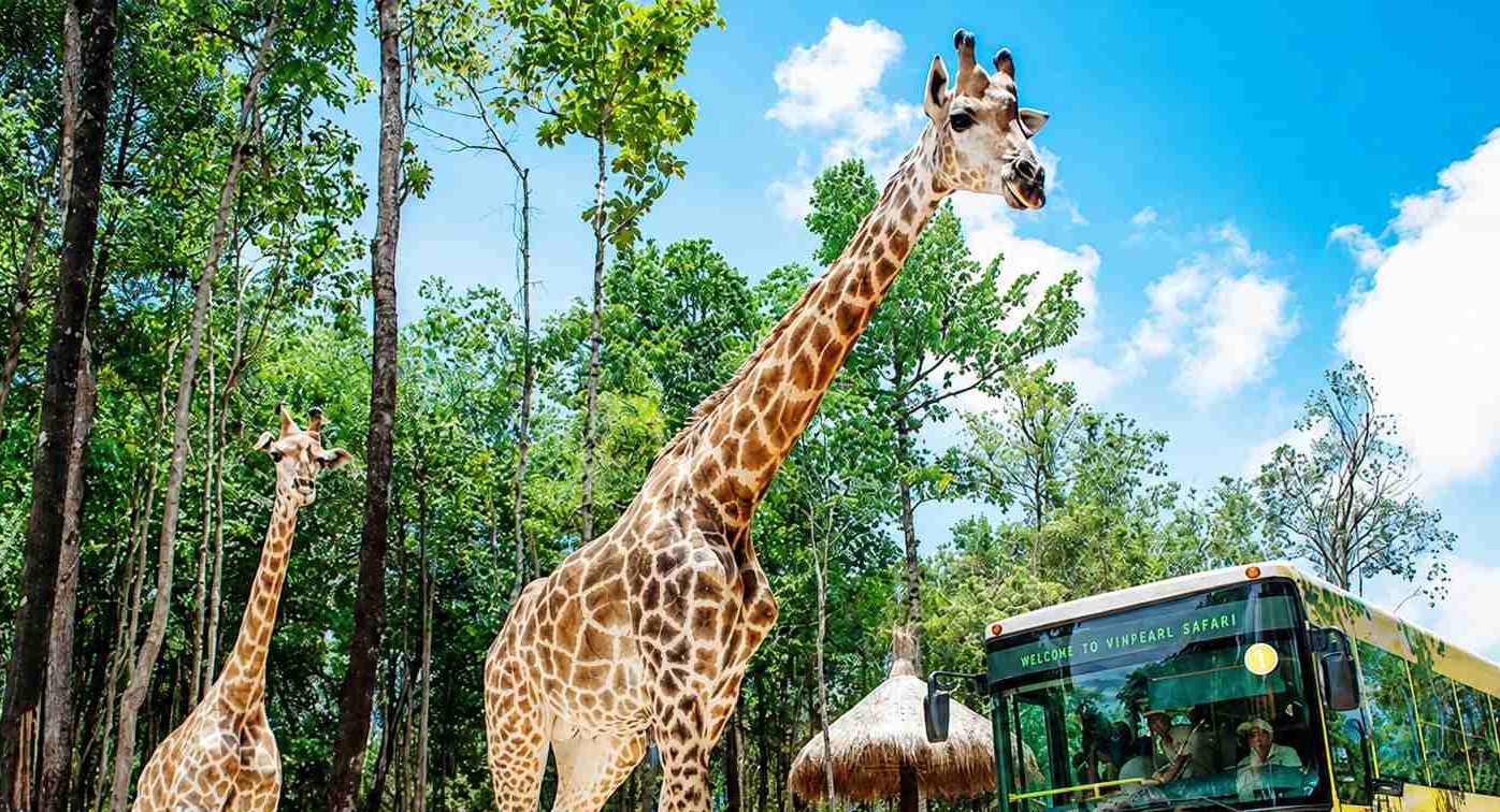 野生動物園
