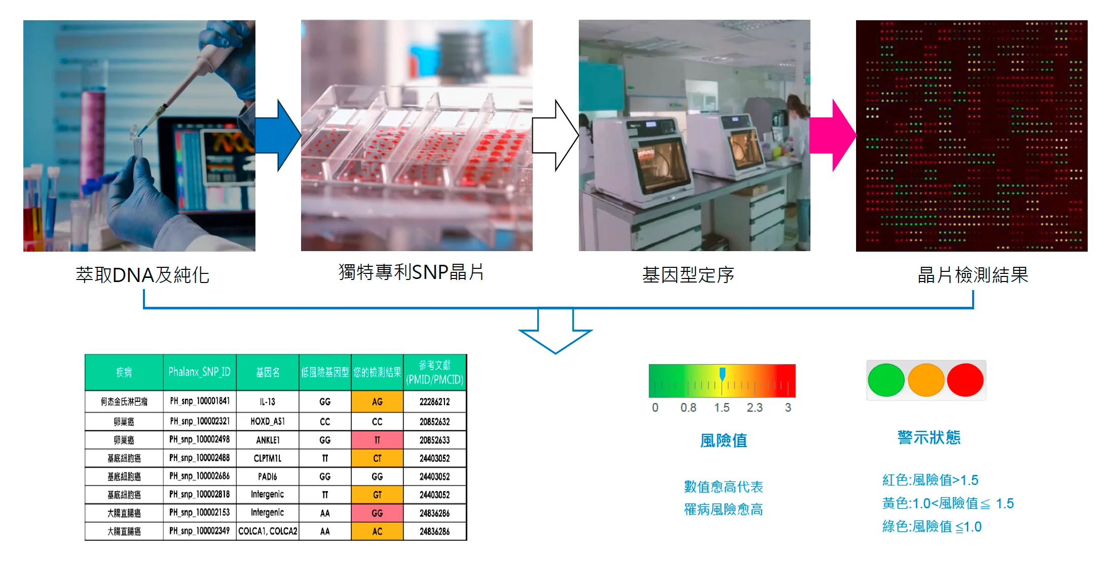 基因檢測流程與風險解讀