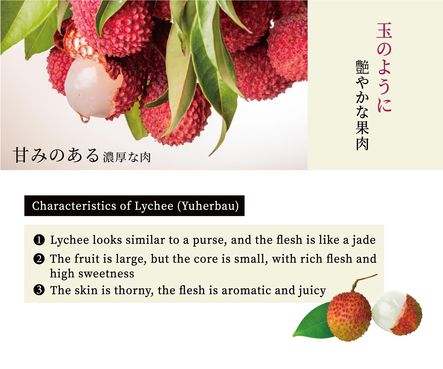 LYCHEE|-台農發 Mitagri-Products