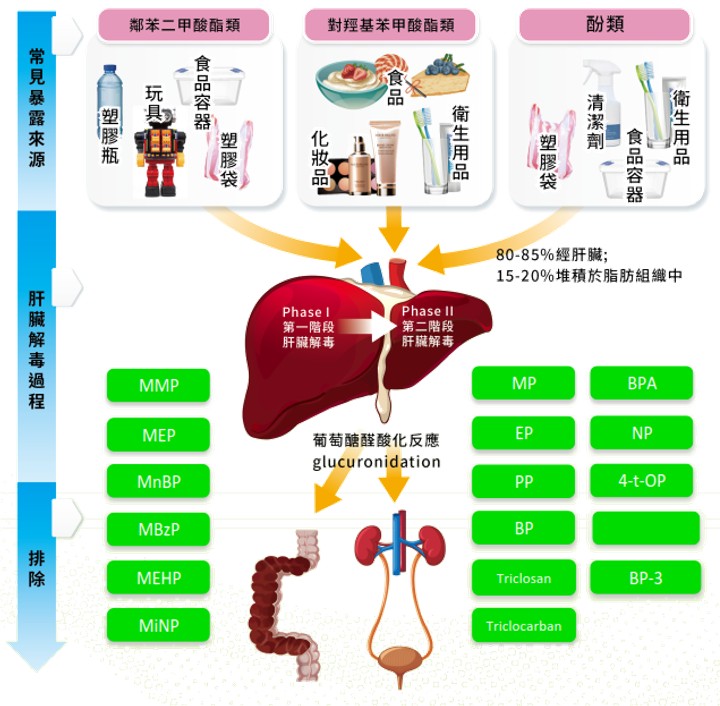 功能醫學檢測