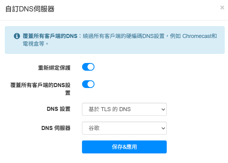 DNS 防護