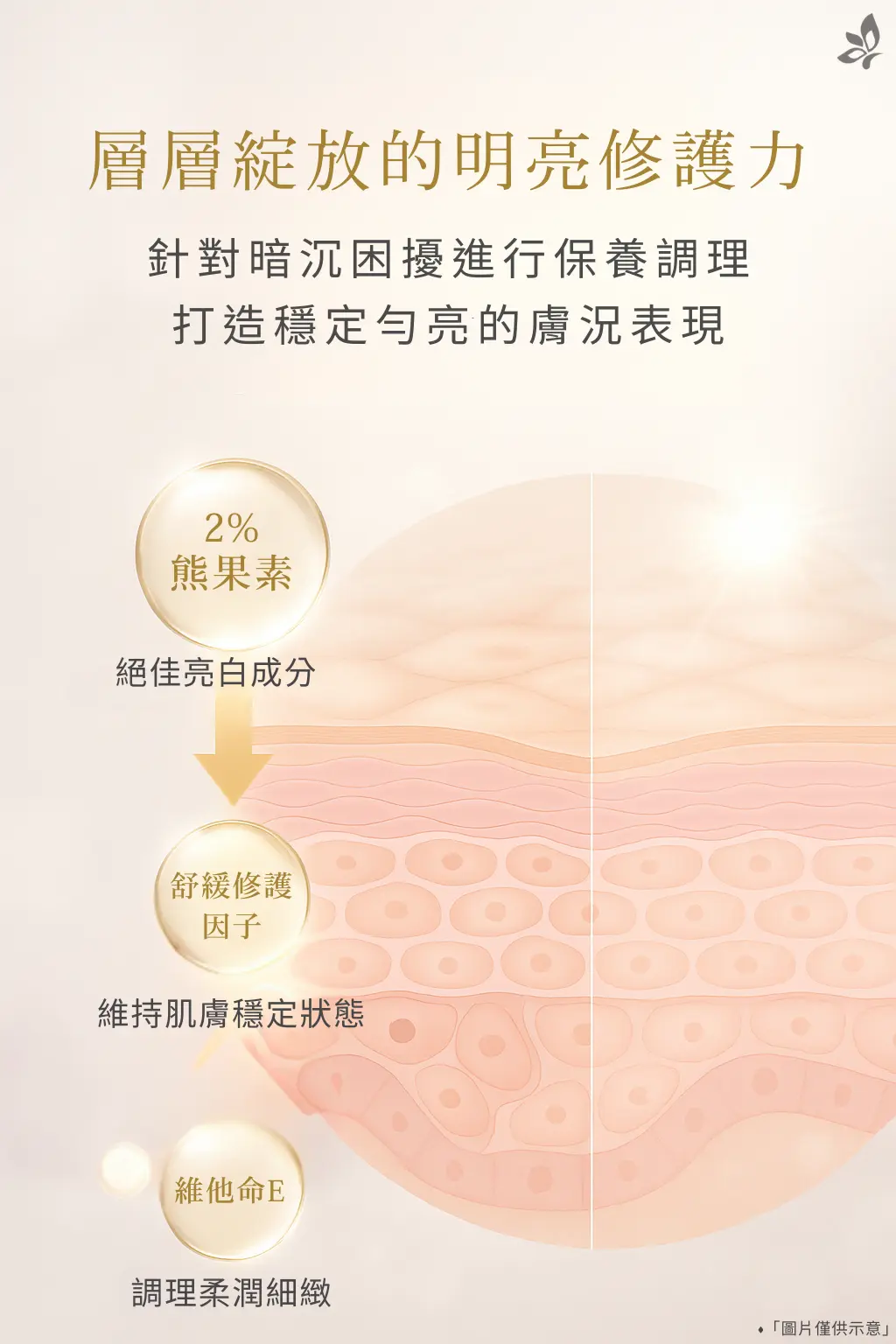 亮白修護概念示意圖，透過層次圖像呈現 α-熊果素、舒緩修護成分與維他命 E 的保養搭配，說明日常保養中改善暗沉、維持肌膚穩定的概念。