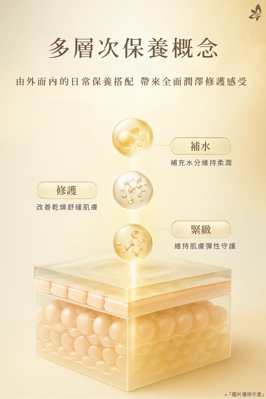多層次保濕呵護示意圖，呈現潤澤、彈潤觸感與細緻光采的日常保養重點