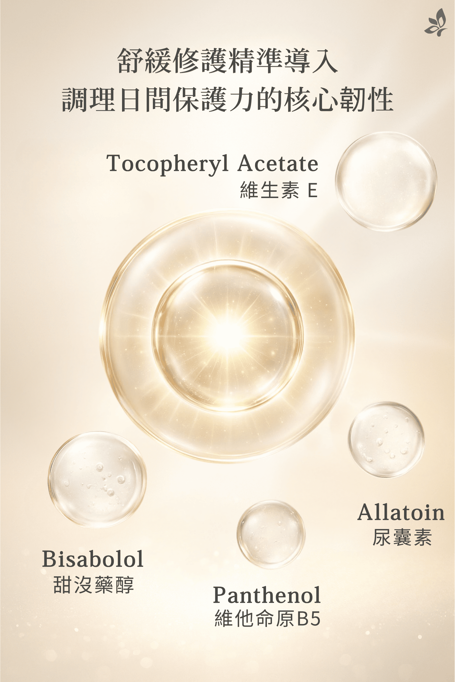 GH菁妍全日型多效防護霜-白色 植物萃取與保濕成分示意