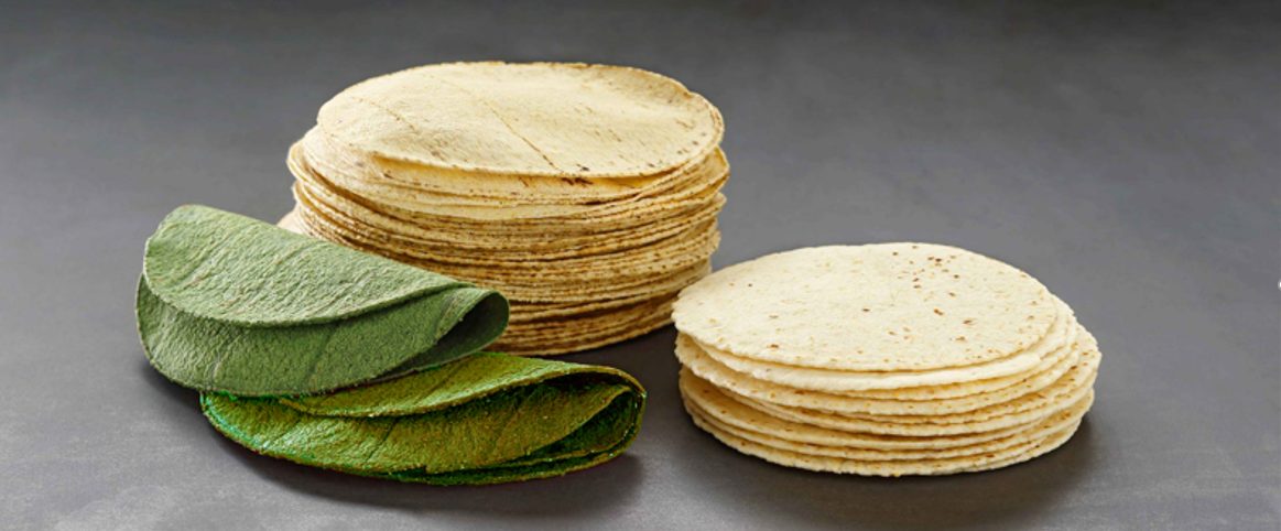 墨西哥玉米餅 Corn Tortilla